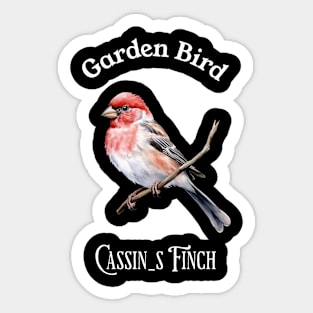 Garden Bird Cassin's Finch Sticker